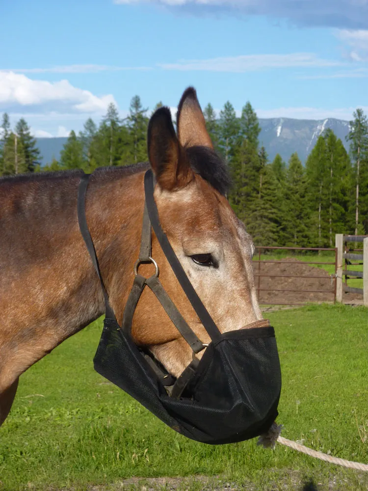 Cavalry-Style Mesh Feed Bag